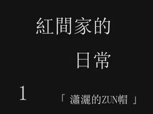 第12页图