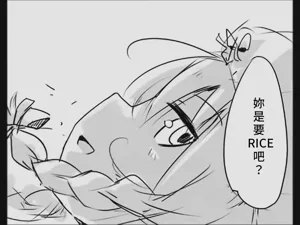第11页图