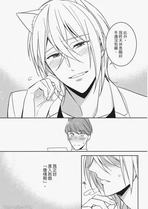 第102頁圖