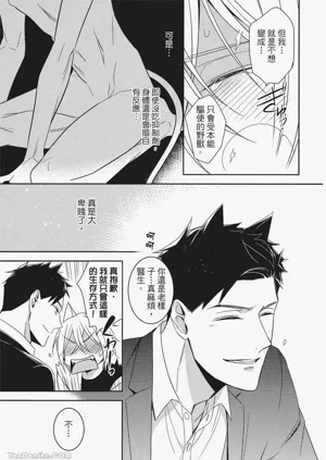 第126頁圖