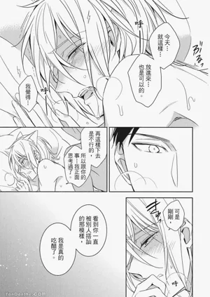 第142頁圖