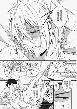 第94頁圖