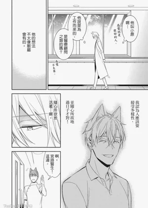 第102頁圖