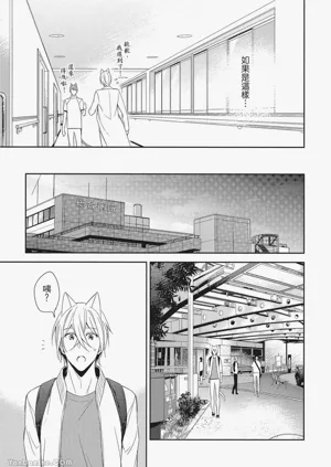 第103頁圖