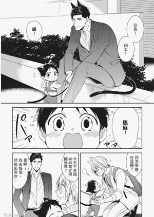 第104頁圖