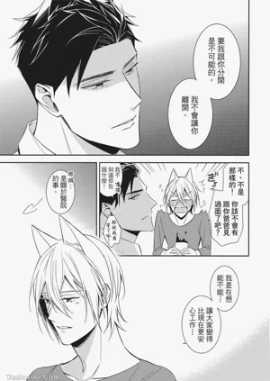 第113頁圖