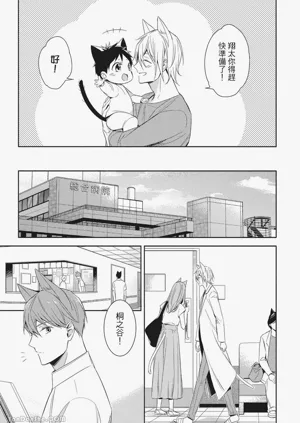 第13頁圖