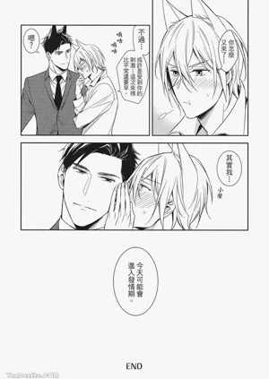 第146頁圖