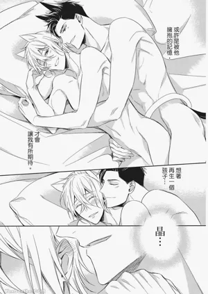 第25頁圖