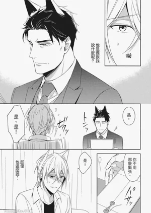 第31頁圖