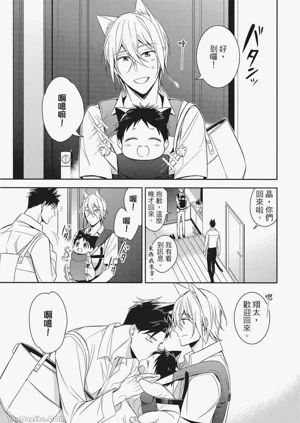 第41頁圖