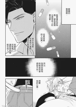 第48頁圖