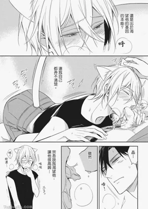 第49頁圖