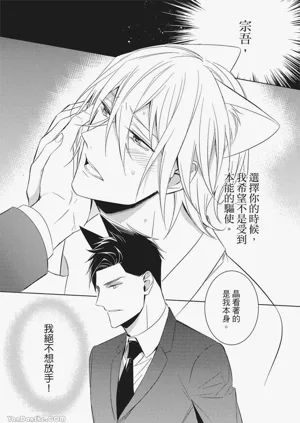 第81頁圖