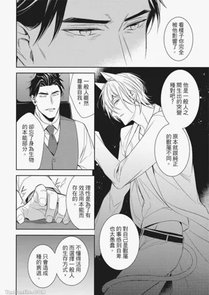 第82頁圖