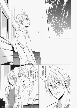 第91頁圖