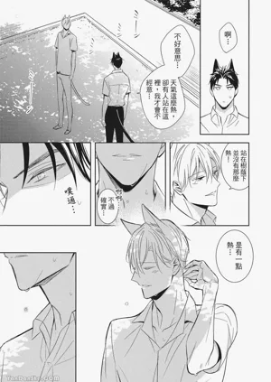 第113頁圖