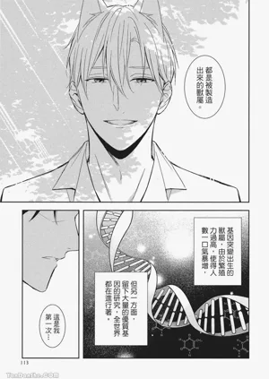 第115頁圖
