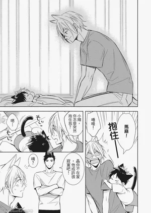第185頁圖