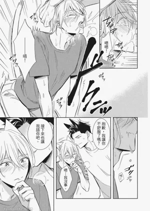 第191頁圖