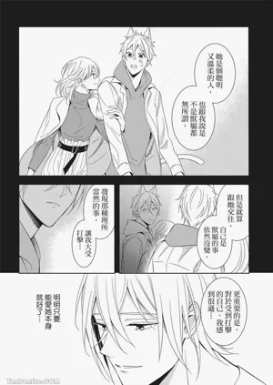 第41頁圖