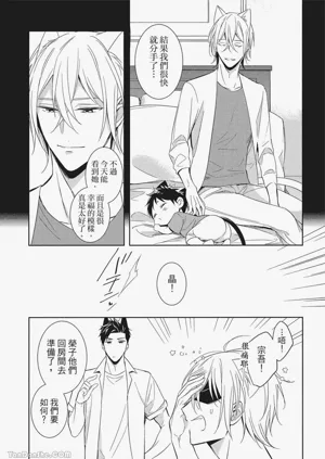 第42頁圖