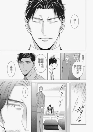 第81頁圖