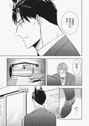 第95頁圖