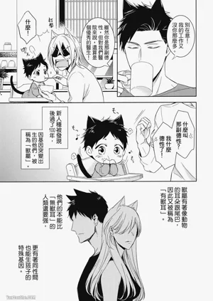 第11頁圖