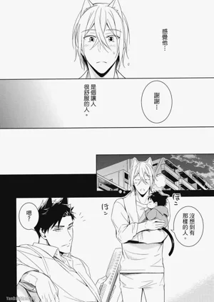第36頁圖