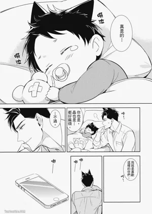 第81頁圖