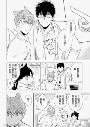 第117頁圖