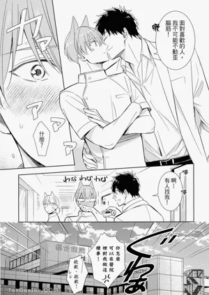 第141頁圖