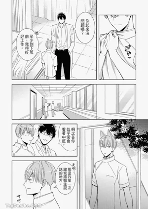 第146頁圖