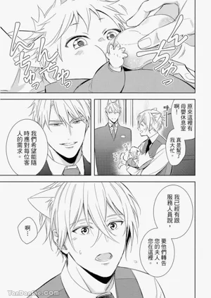 第28頁圖