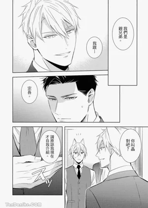 第41頁圖