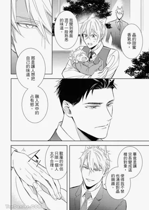 第47頁圖