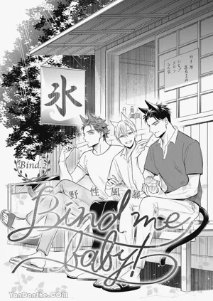 第31頁圖