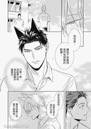 第38頁圖
