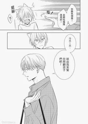 第43页图