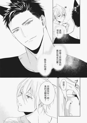 第28頁圖