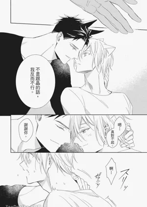 第29頁圖