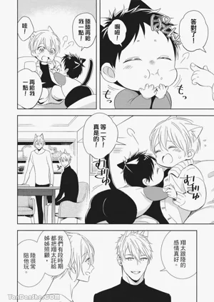 第41頁圖