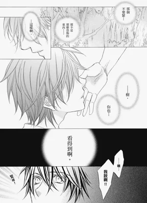 第48頁圖
