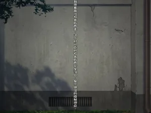 第247頁圖