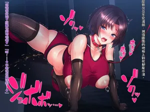 第338頁圖