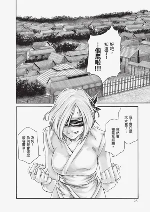 第29页图