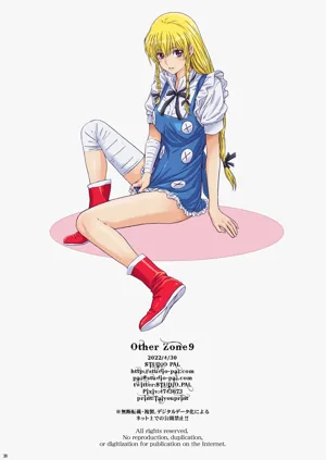第38頁圖