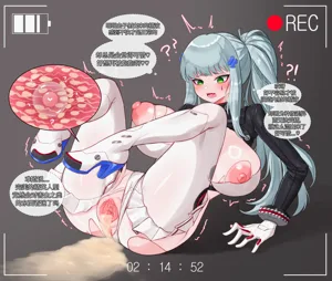 第251頁圖