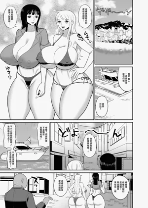 第3页图